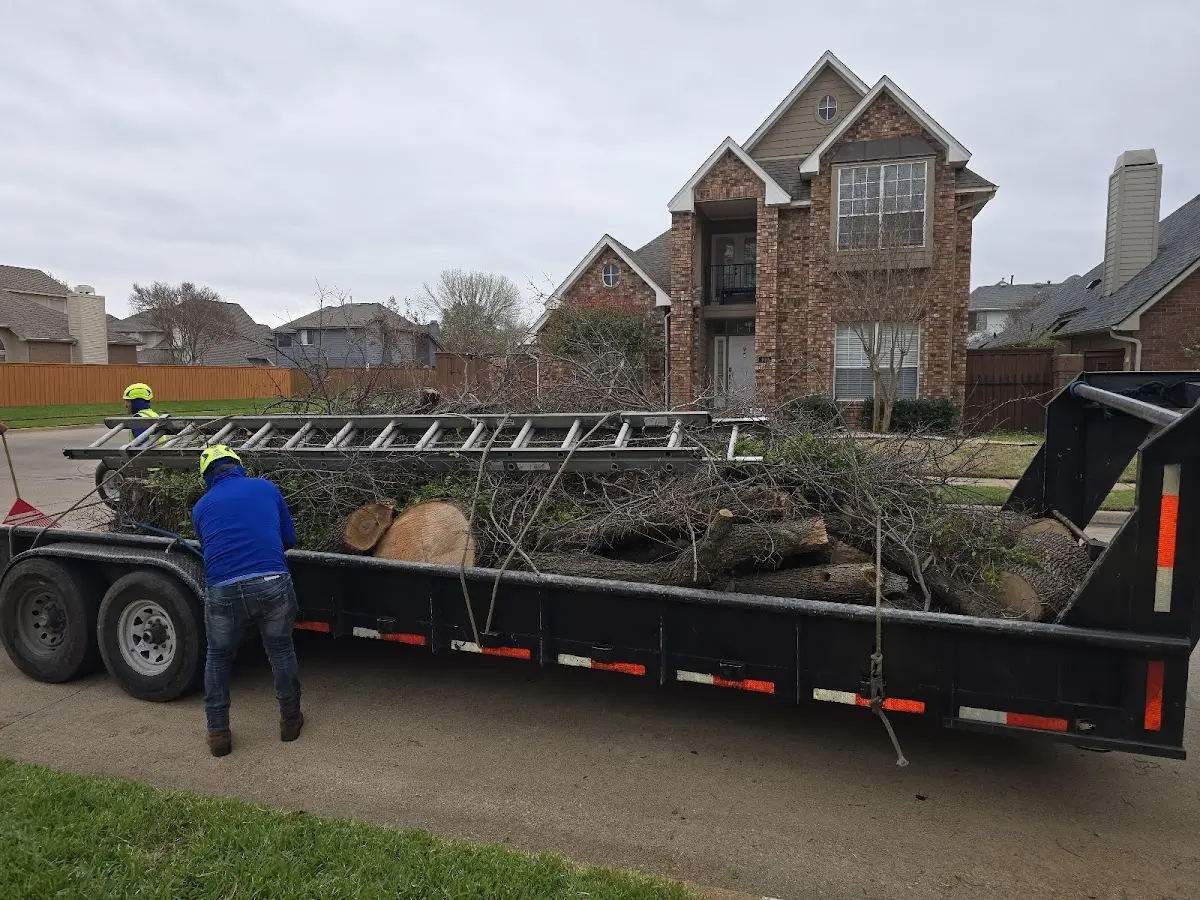 Expert Tree Fertilization with proper safety equipment in Minier
